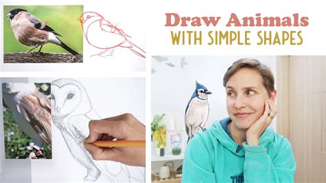 air animals drawing|Drawing Realistic Animals with Simple Shapes: Birds.